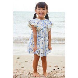 NEXT Blue Floral Angel Sleeve Dress (3mths-8yrs)