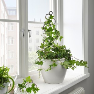 پشتیبان رشد گیاه ایکیا KASKADPIL سایز 16 در 50 سانتی