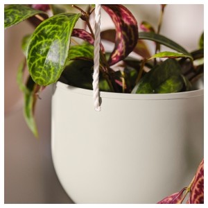 گلدان آویز ایکیا DAKSJUS ست 2 عددی