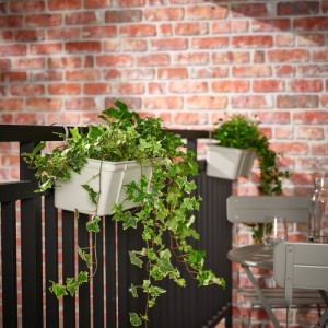 گلدان با نگهدارنده ایکیا VITLOK سایز 15 سانتی