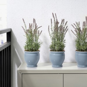 گلدان ایکیا TRUMPETBUSKE سایز 15 سانتی