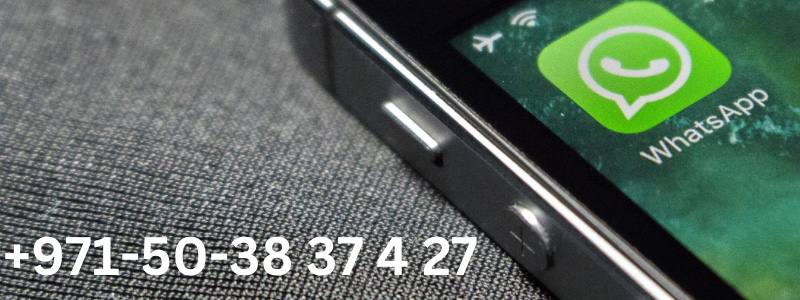 ارتباط از طریق واتساپ