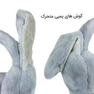 روگوشی پمپی