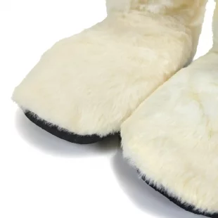 نمای جلوی پاپوش