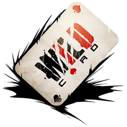 استودیو وایلدکارد