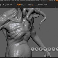 softspot.ir-zbrush-top-learning-collection-part-1-13.jpg