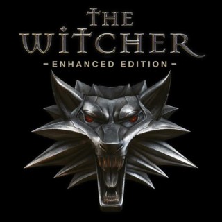 بازی The Witcher: Enhanced Edition