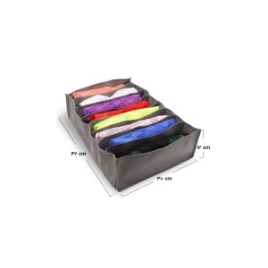 نظم دهنده سایز L