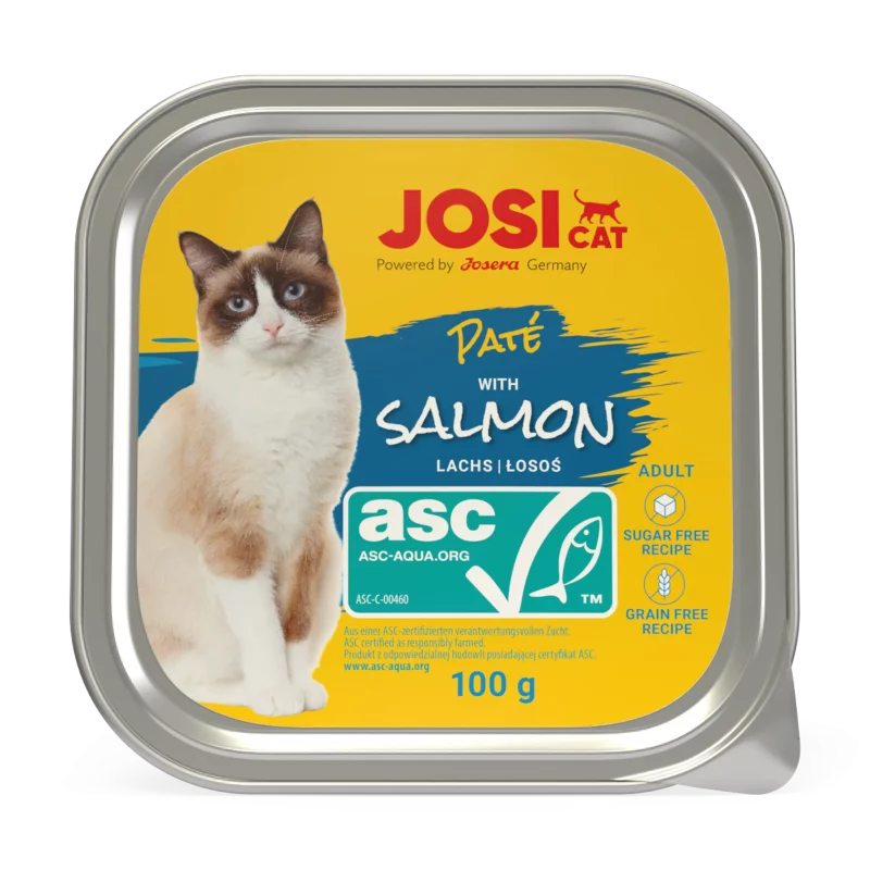 ووم گربه جوسی - ماهی