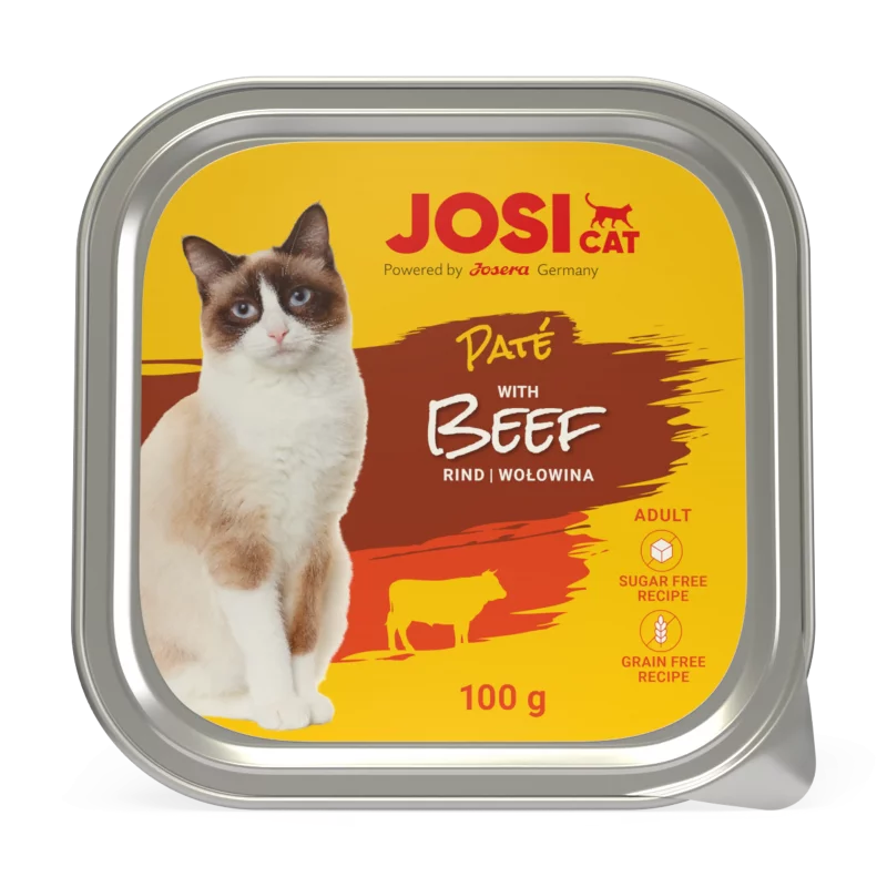 ووم گربه جوسی - بیف