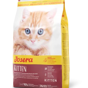 جوسرا کیتن kitten