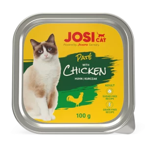 ووم گربه جوسی - مرغ