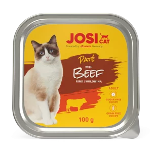 ووم گربه جوسی - بیف