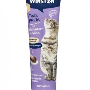 خمیر مالت گربه وینستون