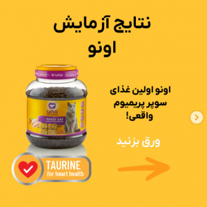 بهترین غذا خشک بچه گربه