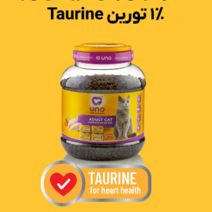 غذا خشک بچه گربه اونو