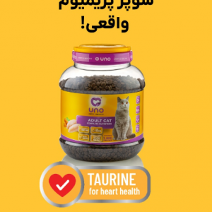 غذا خشک بچه گربه سوپر پریمیوم