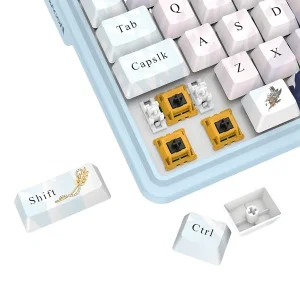 کیبورد مخصوص بازی ردراگون مدل Antonium K728 PRO AK