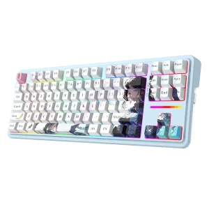 کیبورد مخصوص بازی ردراگون مدل Antonium K728 PRO AK