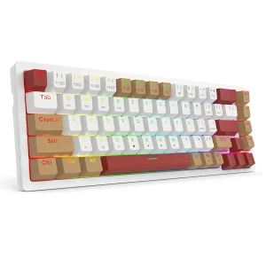 کیبورد مخصوص بازی ردراگون مدل Rammus K677 WLR Pro