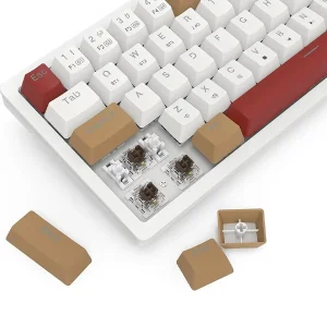 کیبورد مخصوص بازی ردراگون مدل Rammus K677 WLR Pro