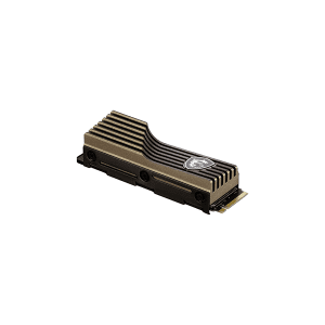 MSI SPATIUM M460 M.2 2280 NVMe HS ظرفیت 1T