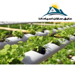 مزایای کشاورزی هیدروپونیک