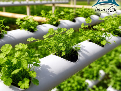 مزایای کشاورزی هیدروپونیک
