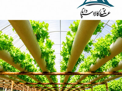 مزایای کشت در پشم سنگ