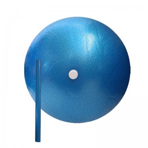 توپ پیلاتس فونیکس قطر 20 سانتی متر نی دار مدل Pilates Golden Star Ball| آبی
