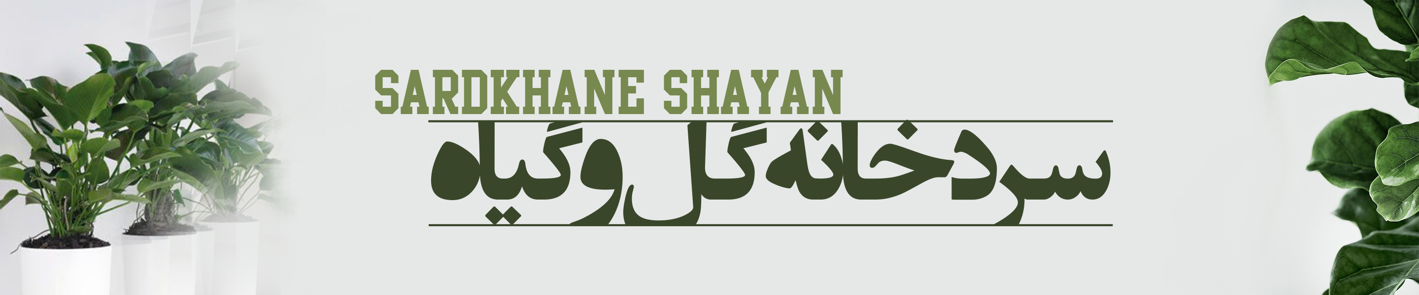 سردخانه گل و گیاه