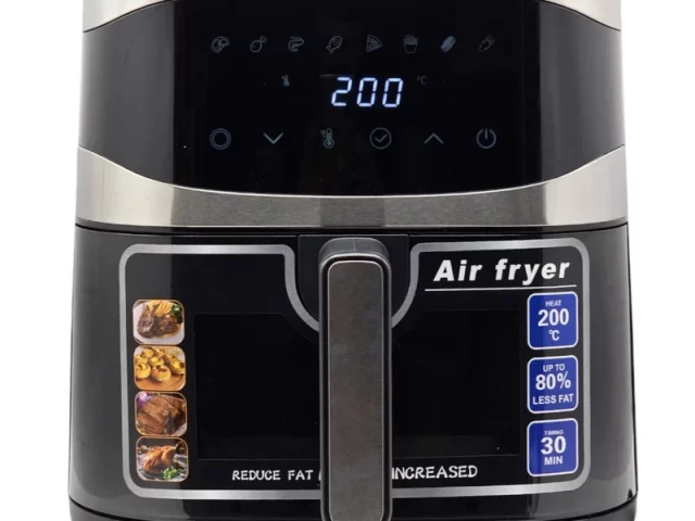 سرخ کن دسینی 813dw