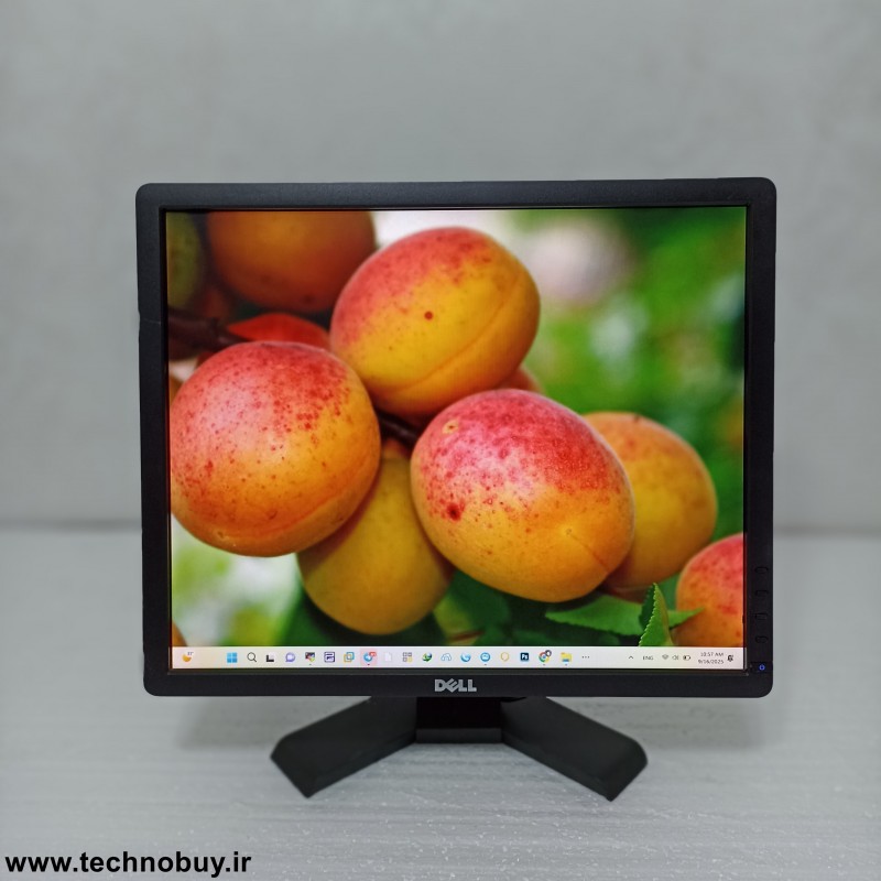 مانیتور 19 اینچ استوک Dell P1913Sb