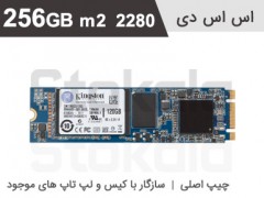 حافظه پرسرعت m2 SSD 256GB