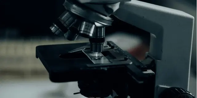 تحلیل جامع نتایج مطالعه Forrester TEI درباره Symantec Endpoint Security Complete و تأثیر آن بر بهبود امنیت سازمانی