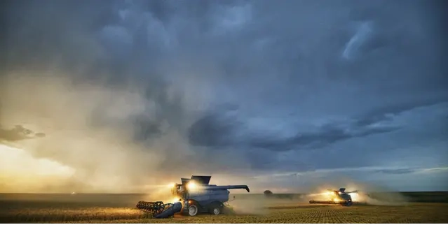 شناسایی بدافزار جدید GoGra لینوکس توسط سیمانتک؛ گسترش توانمندی‌های گروه تهدید Harvester