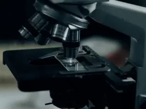 تحلیل جامع نتایج مطالعه Forrester TEI درباره Symantec Endpoint Security Complete و تأثیر آن بر بهبود امنیت سازمانی