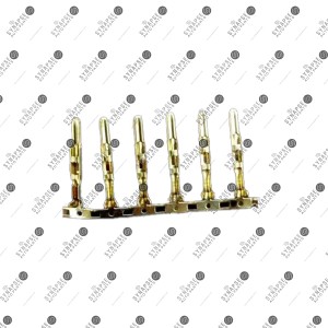 سرسیم نری پژویی