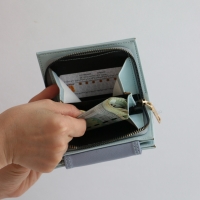 کیف پول زنانه و جاکارتی لیونا