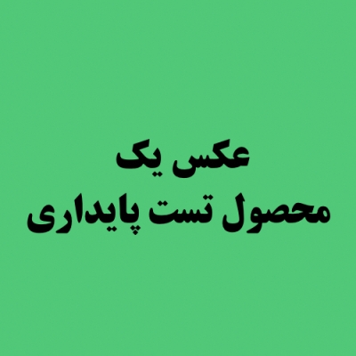 محصول تست پایداری و امنیت فروشگاه تادیزاین