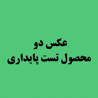 محصول تست پایداری و امنیت فروشگاه تادیزاین