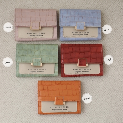 کیف پول و جاکارتی راینی