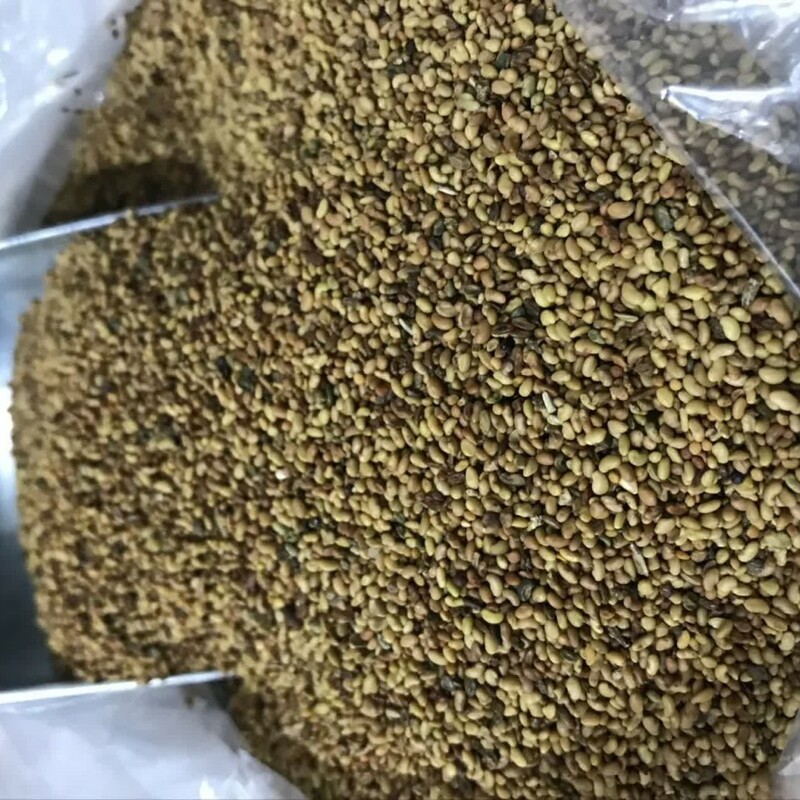 بذر یونجه (100 گرم)