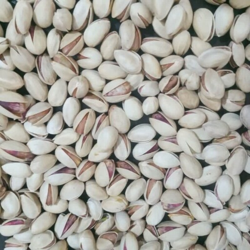 پسته اکبری تازه چین (1 کیلوگرم)
