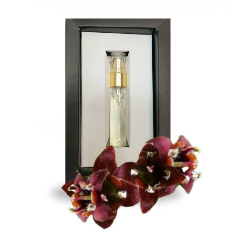 عطر عود صندل اکسیر دکتر خیراندیش (5 گرم)