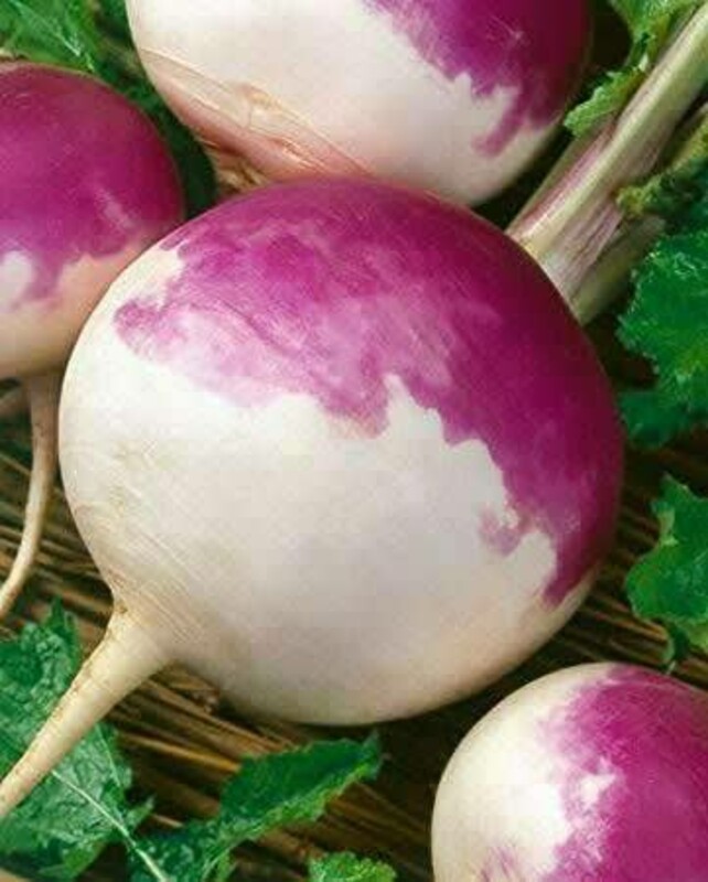 شلغم چیپسی (250 گرم)