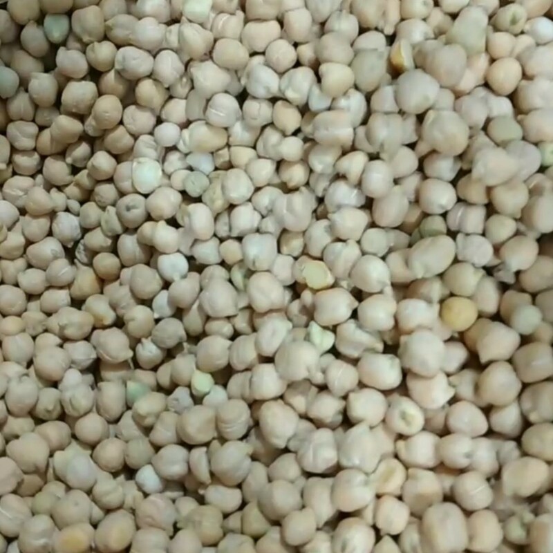 نخود بومی چهارمحال و بختیاری (5 کیلوگرم)