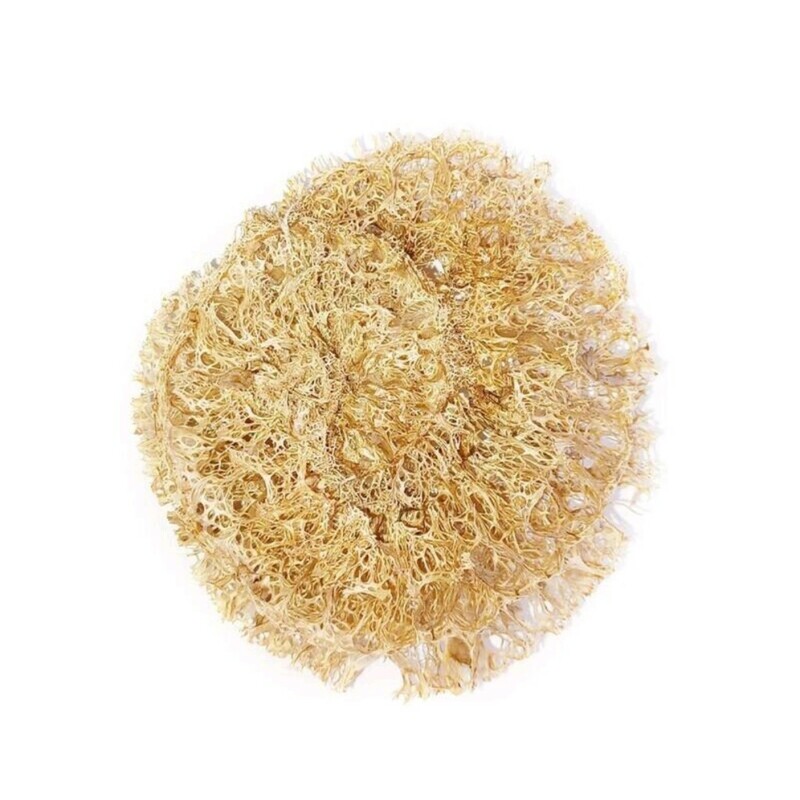 جاصابونی لوفا متراکم