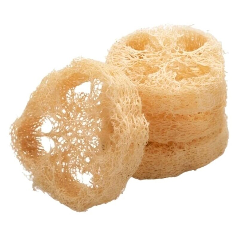 جاصابونی لوفا گرد