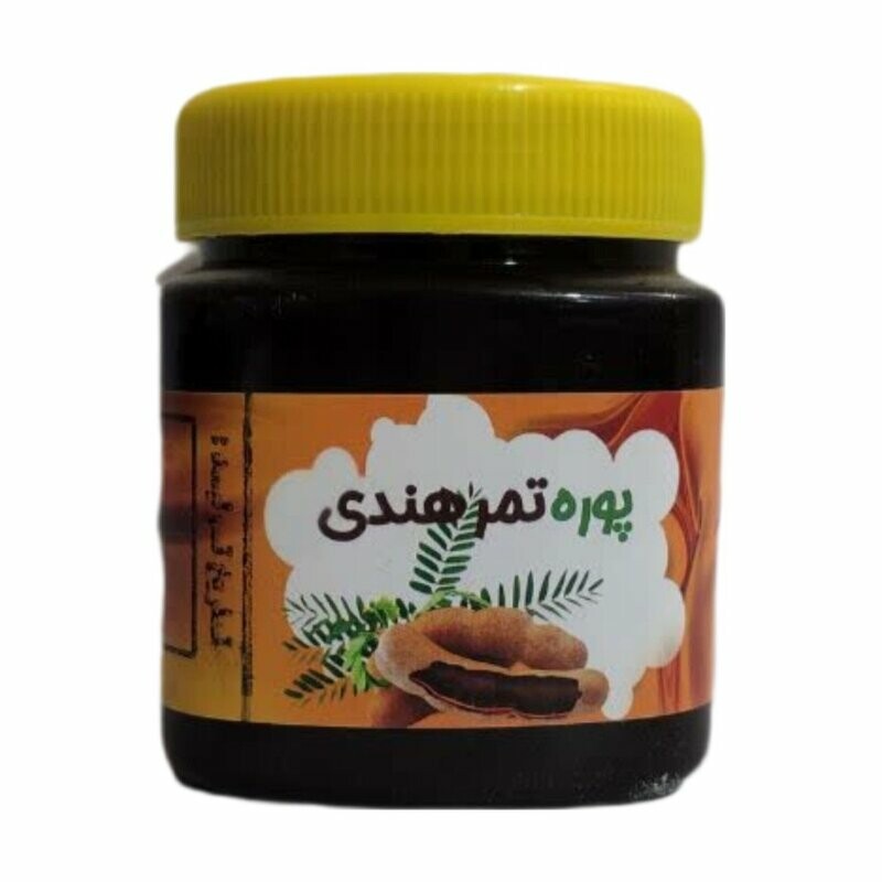 پوره تمر هندی غدیر (480 گرم)